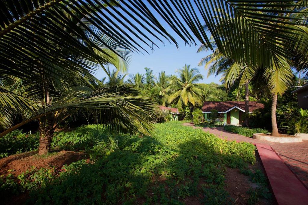 Dunhill Beach Resort Agonda Buitenkant foto