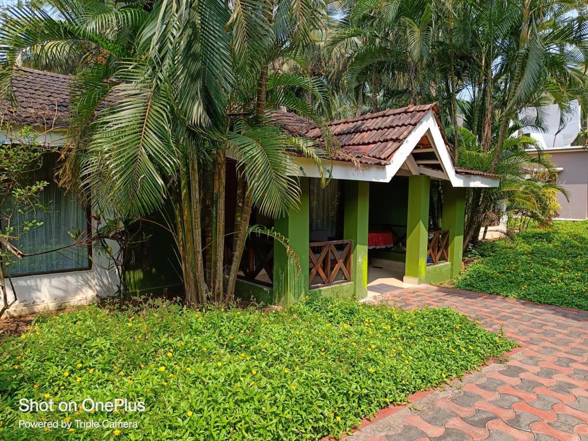 Dunhill Beach Resort Agonda Buitenkant foto